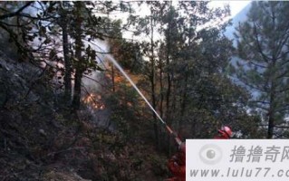 大竹林短视频制作，大竹林网红公园