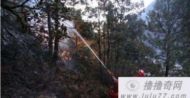 大竹林短视频制作，大竹林网红公园