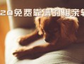 短视频野猪特效制作软件，短视频野猪特效制作软件下载