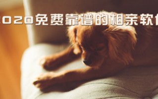 短视频野猪特效制作软件，短视频野猪特效制作软件下载